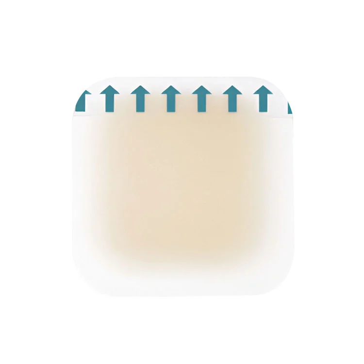 Hüdrokolloidsed kannapadjakesed